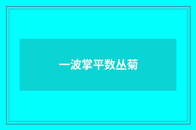 一波掌平数丛菊