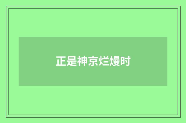 正是神京烂熳时