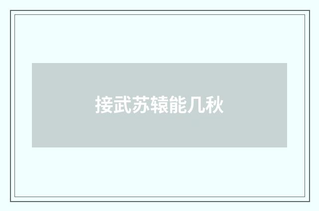 接武苏辕能几秋