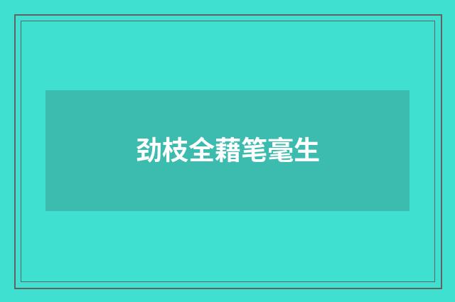 劲枝全藉笔毫生