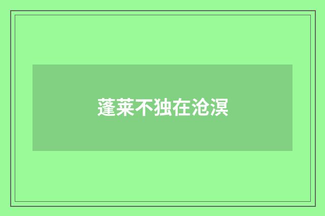 蓬莱不独在沧溟