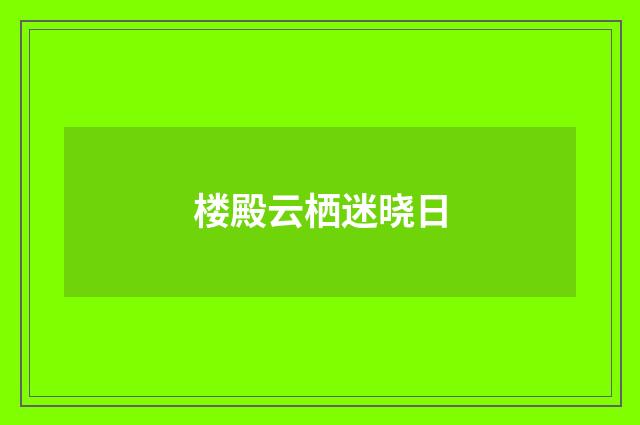 楼殿云栖迷晓日