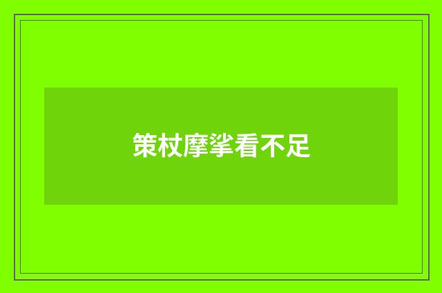 策杖摩挲看不足