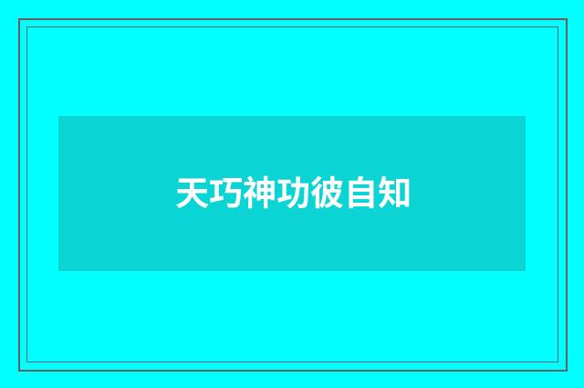 天巧神功彼自知