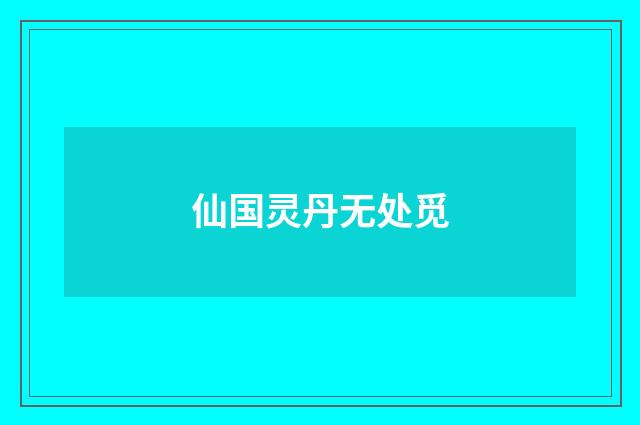 仙国灵丹无处觅