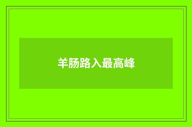 羊肠路入最高峰