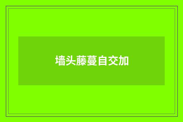 墙头藤蔓自交加