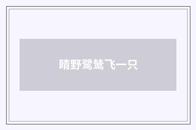 睛野鹭鸶飞一只