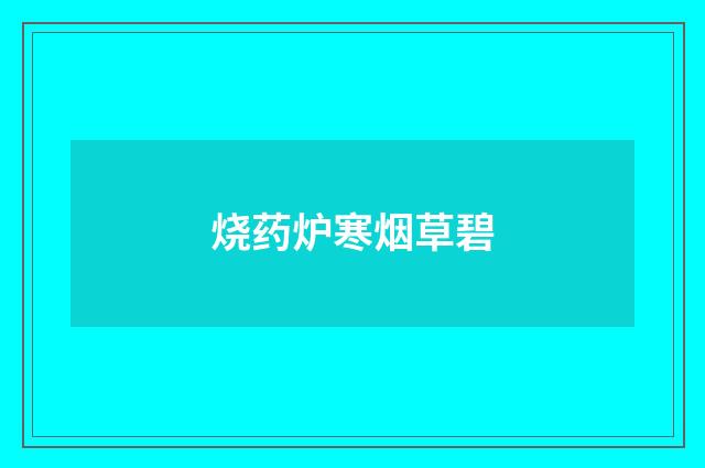 烧药炉寒烟草碧