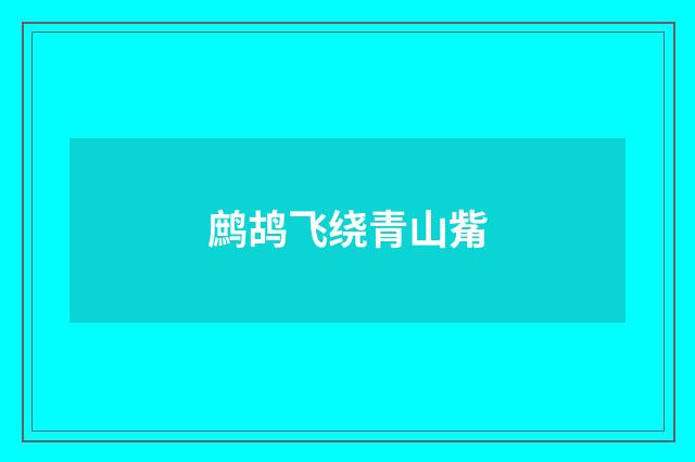 鹧鸪飞绕青山觜