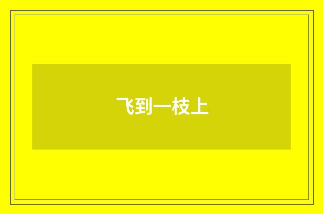飞到一枝上