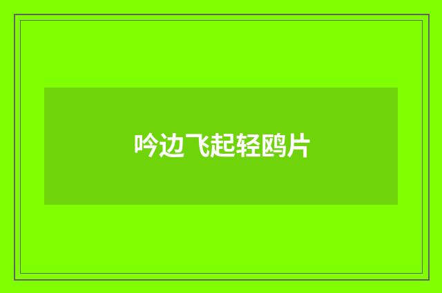 吟边飞起轻鸥片