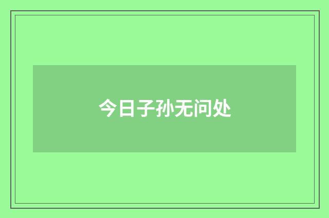 今日子孙无问处