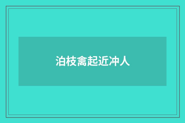 泊枝禽起近冲人