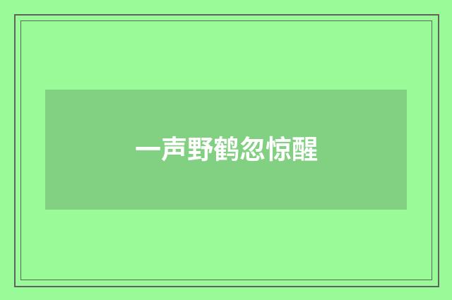 一声野鹤忽惊醒