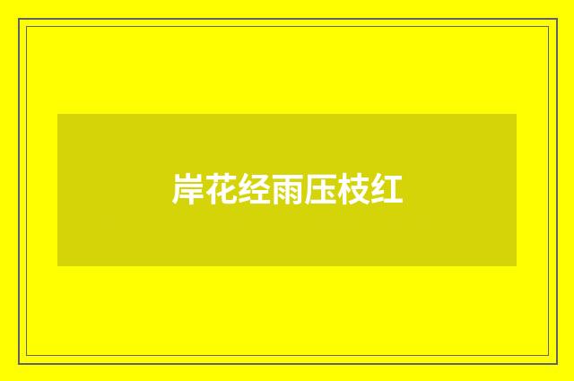 岸花经雨压枝红