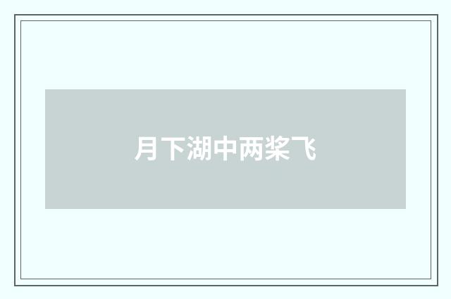 月下湖中两桨飞