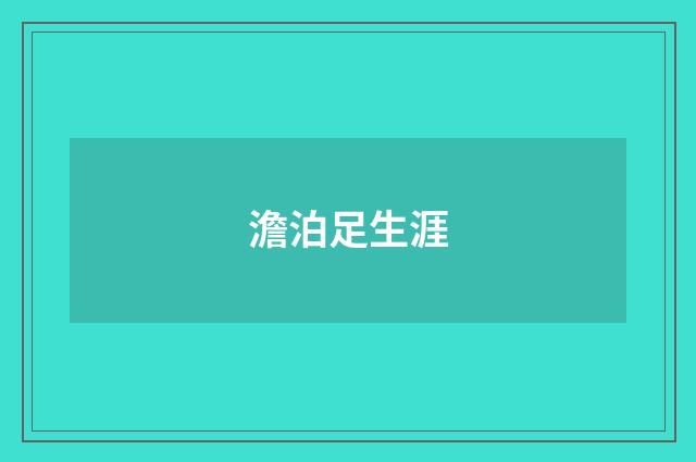 澹泊足生涯