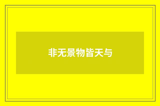 非无景物皆天与