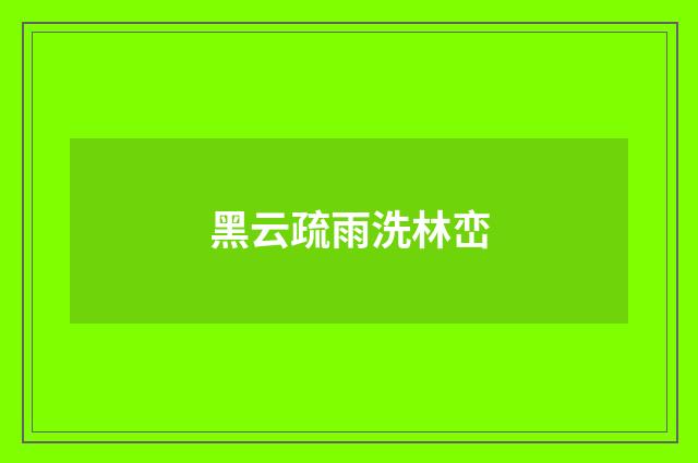 黑云疏雨洗林峦