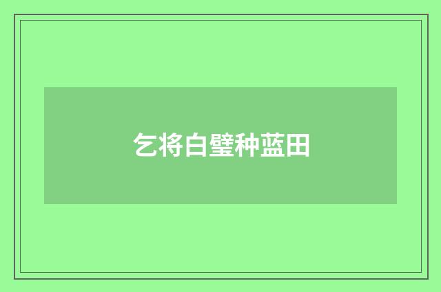 乞将白璧种蓝田