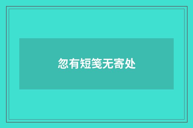 忽有短笺无寄处
