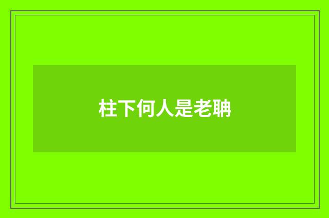 柱下何人是老聃