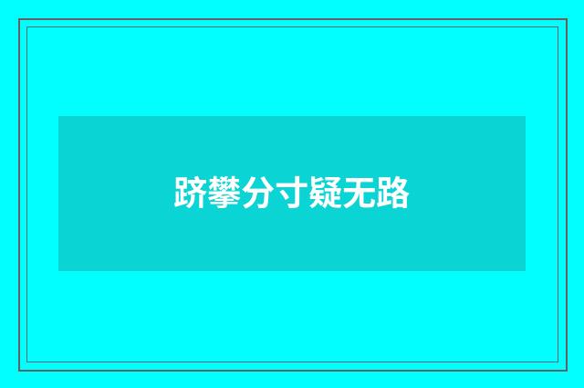 跻攀分寸疑无路