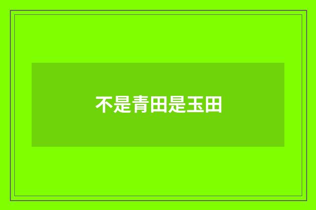不是青田是玉田