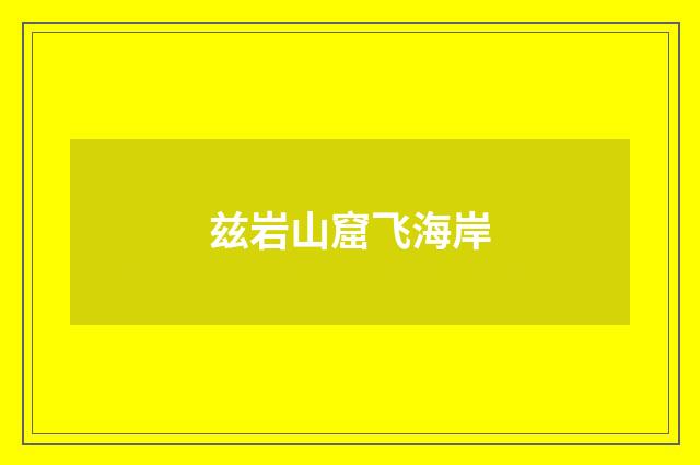 兹岩山窟飞海岸