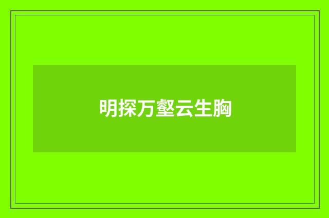 明探万壑云生胸