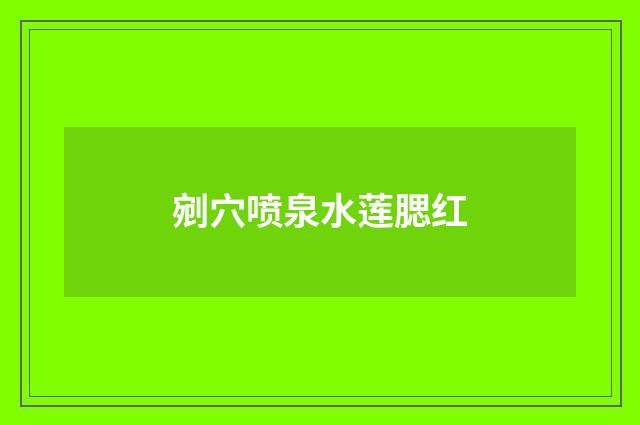 剜穴喷泉水莲腮红