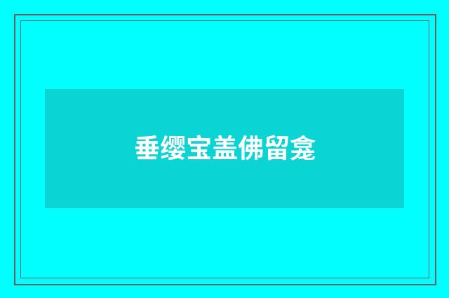 垂缨宝盖佛留龛