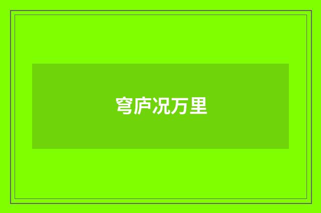 穹庐况万里