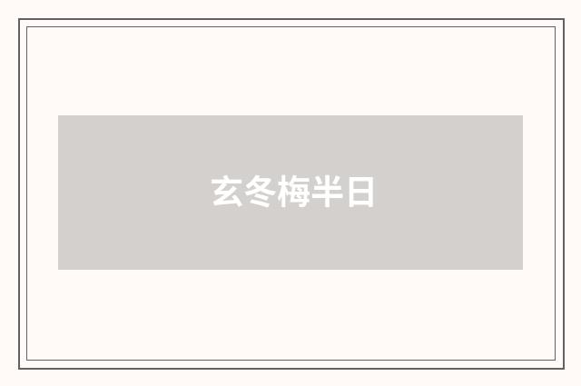 玄冬梅半日