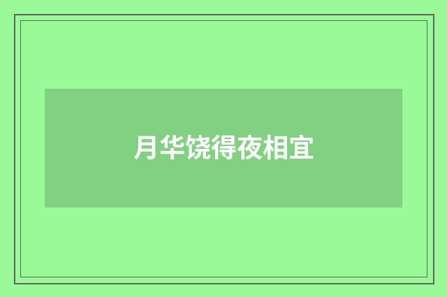 月华饶得夜相宜