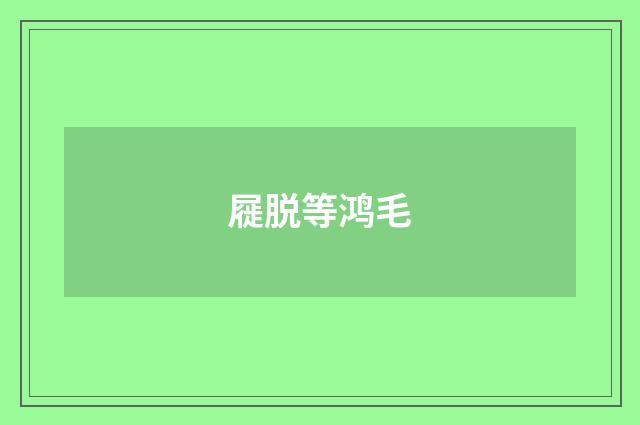 屣脱等鸿毛