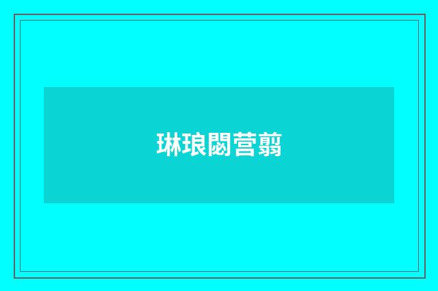 琳琅閟营翦