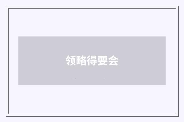 领略得要会