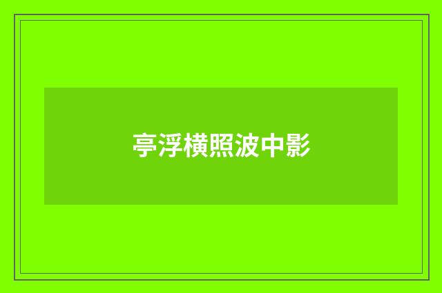 亭浮横照波中影