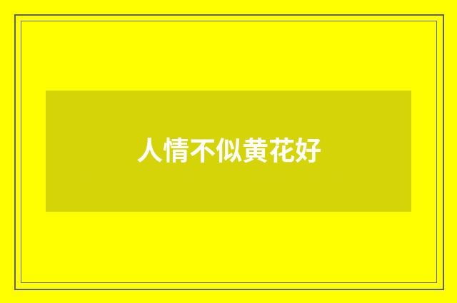 人情不似黄花好