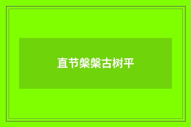 直节槃槃古树平