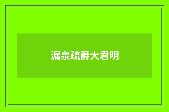 漏泉疏爵大君明