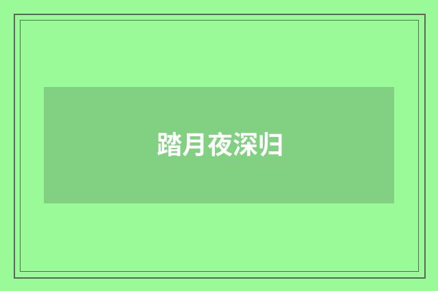 踏月夜深归