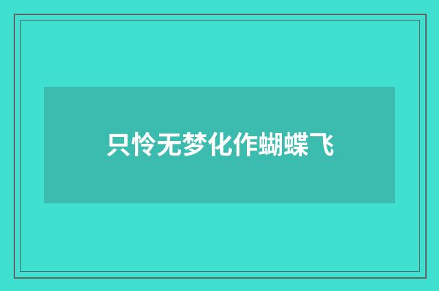 只怜无梦化作蝴蝶飞