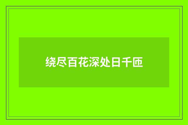 绕尽百花深处日千匝