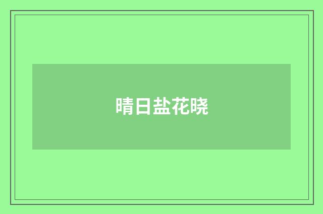 晴日盐花晓