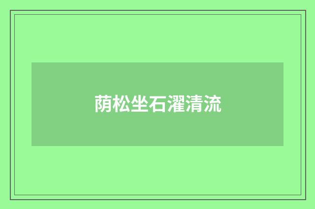 荫松坐石濯清流