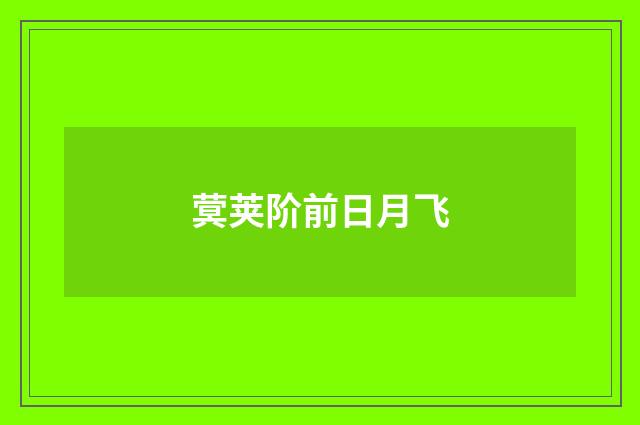 蓂荚阶前日月飞