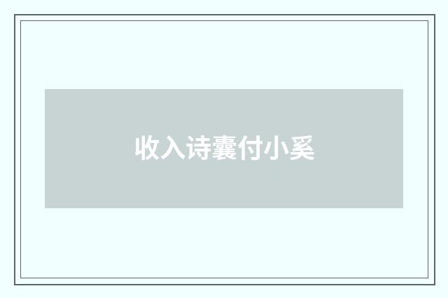 收入诗囊付小奚